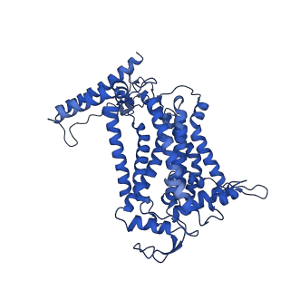 24455_7rh5_E_v2-0
Mycobacterial CIII2CIV2 supercomplex, Inhibitor free