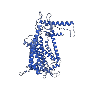 24455_7rh5_F_v2-0
Mycobacterial CIII2CIV2 supercomplex, Inhibitor free