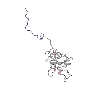 24455_7rh5_G_v1-0
Mycobacterial CIII2CIV2 supercomplex, Inhibitor free