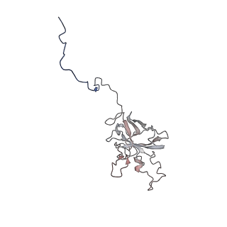 24455_7rh5_G_v2-0
Mycobacterial CIII2CIV2 supercomplex, Inhibitor free