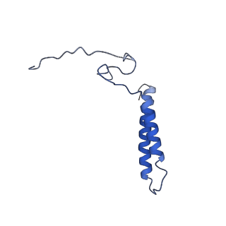 24455_7rh5_J_v1-0
Mycobacterial CIII2CIV2 supercomplex, Inhibitor free