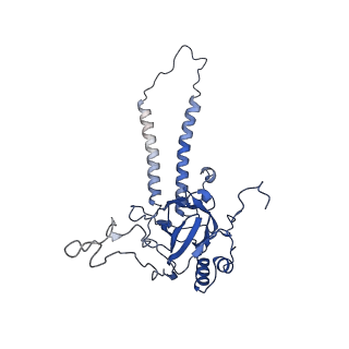 24455_7rh5_K_v1-0
Mycobacterial CIII2CIV2 supercomplex, Inhibitor free