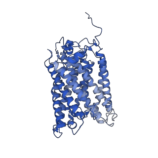 24455_7rh5_L_v1-0
Mycobacterial CIII2CIV2 supercomplex, Inhibitor free