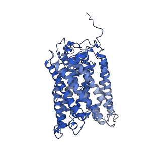 24455_7rh5_L_v2-0
Mycobacterial CIII2CIV2 supercomplex, Inhibitor free