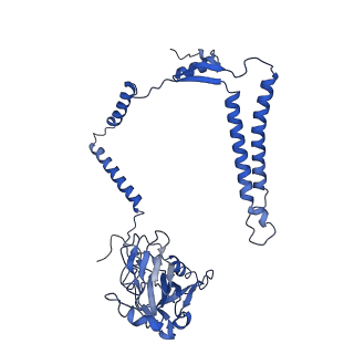 24455_7rh5_M_v1-0
Mycobacterial CIII2CIV2 supercomplex, Inhibitor free