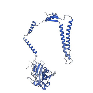 24455_7rh5_M_v2-0
Mycobacterial CIII2CIV2 supercomplex, Inhibitor free