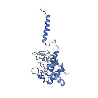 24455_7rh5_O_v1-0
Mycobacterial CIII2CIV2 supercomplex, Inhibitor free