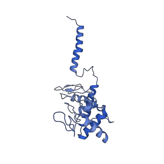 24455_7rh5_O_v2-0
Mycobacterial CIII2CIV2 supercomplex, Inhibitor free