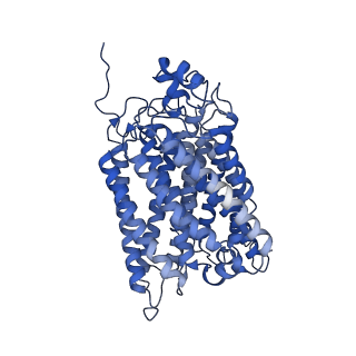24455_7rh5_R_v1-0
Mycobacterial CIII2CIV2 supercomplex, Inhibitor free