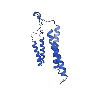 24455_7rh5_T_v2-0
Mycobacterial CIII2CIV2 supercomplex, Inhibitor free