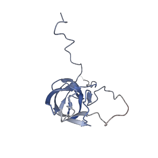 24455_7rh5_W_v2-0
Mycobacterial CIII2CIV2 supercomplex, Inhibitor free