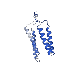 24455_7rh5_Z_v1-0
Mycobacterial CIII2CIV2 supercomplex, Inhibitor free
