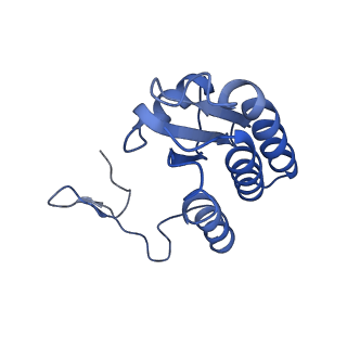 24455_7rh5_b_v1-0
Mycobacterial CIII2CIV2 supercomplex, Inhibitor free