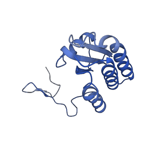 24455_7rh5_b_v2-0
Mycobacterial CIII2CIV2 supercomplex, Inhibitor free