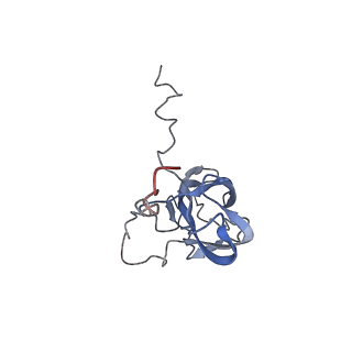24455_7rh5_c_v1-0
Mycobacterial CIII2CIV2 supercomplex, Inhibitor free