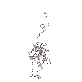 24456_7rh6_D_v1-0
Mycobacterial CIII2CIV2 supercomplex, inhibitor free, -Lpqe cyt cc open