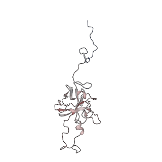 24456_7rh6_D_v2-0
Mycobacterial CIII2CIV2 supercomplex, inhibitor free, -Lpqe cyt cc open