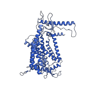 24456_7rh6_E_v1-0
Mycobacterial CIII2CIV2 supercomplex, inhibitor free, -Lpqe cyt cc open