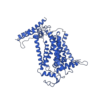 24456_7rh6_F_v1-0
Mycobacterial CIII2CIV2 supercomplex, inhibitor free, -Lpqe cyt cc open