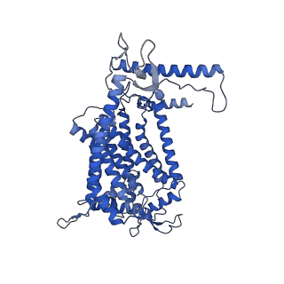 24456_7rh6_F_v2-0
Mycobacterial CIII2CIV2 supercomplex, inhibitor free, -Lpqe cyt cc open
