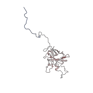 24456_7rh6_G_v1-0
Mycobacterial CIII2CIV2 supercomplex, inhibitor free, -Lpqe cyt cc open