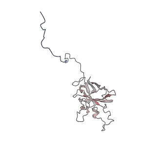 24456_7rh6_G_v2-0
Mycobacterial CIII2CIV2 supercomplex, inhibitor free, -Lpqe cyt cc open