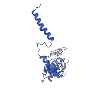 24456_7rh6_I_v1-0
Mycobacterial CIII2CIV2 supercomplex, inhibitor free, -Lpqe cyt cc open