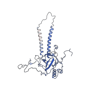 24456_7rh6_K_v2-0
Mycobacterial CIII2CIV2 supercomplex, inhibitor free, -Lpqe cyt cc open