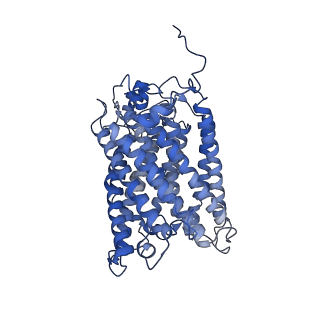 24456_7rh6_L_v1-0
Mycobacterial CIII2CIV2 supercomplex, inhibitor free, -Lpqe cyt cc open