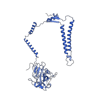 24456_7rh6_M_v1-0
Mycobacterial CIII2CIV2 supercomplex, inhibitor free, -Lpqe cyt cc open
