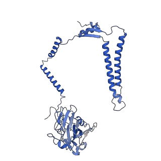 24456_7rh6_M_v2-0
Mycobacterial CIII2CIV2 supercomplex, inhibitor free, -Lpqe cyt cc open