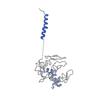 24456_7rh6_O_v2-0
Mycobacterial CIII2CIV2 supercomplex, inhibitor free, -Lpqe cyt cc open