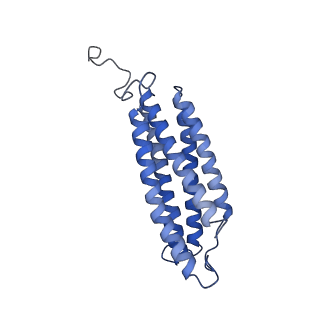 24456_7rh6_S_v1-0
Mycobacterial CIII2CIV2 supercomplex, inhibitor free, -Lpqe cyt cc open