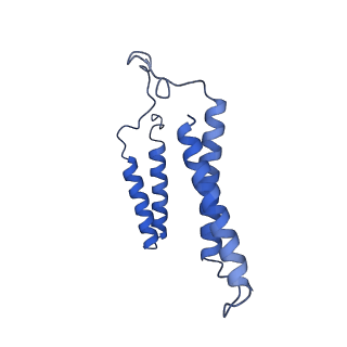 24456_7rh6_T_v1-0
Mycobacterial CIII2CIV2 supercomplex, inhibitor free, -Lpqe cyt cc open