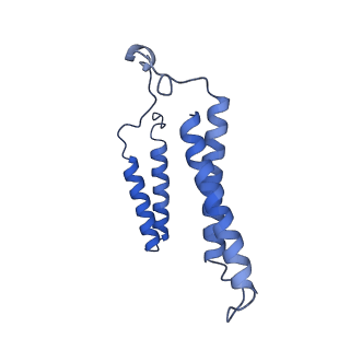 24456_7rh6_T_v2-0
Mycobacterial CIII2CIV2 supercomplex, inhibitor free, -Lpqe cyt cc open