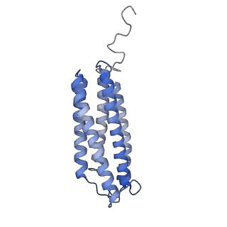 24456_7rh6_X_v1-0
Mycobacterial CIII2CIV2 supercomplex, inhibitor free, -Lpqe cyt cc open