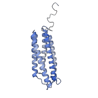 24456_7rh6_X_v2-0
Mycobacterial CIII2CIV2 supercomplex, inhibitor free, -Lpqe cyt cc open