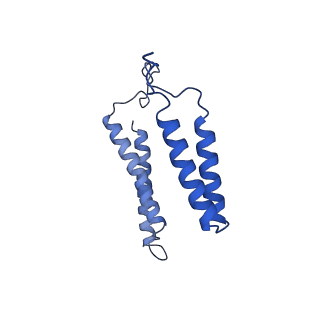 24456_7rh6_Z_v1-0
Mycobacterial CIII2CIV2 supercomplex, inhibitor free, -Lpqe cyt cc open