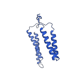 24456_7rh6_Z_v2-0
Mycobacterial CIII2CIV2 supercomplex, inhibitor free, -Lpqe cyt cc open