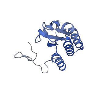 24456_7rh6_b_v1-0
Mycobacterial CIII2CIV2 supercomplex, inhibitor free, -Lpqe cyt cc open