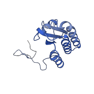 24456_7rh6_b_v2-0
Mycobacterial CIII2CIV2 supercomplex, inhibitor free, -Lpqe cyt cc open