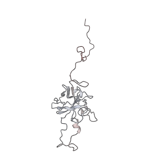24457_7rh7_D_v1-0
Mycobacterial CIII2CIV2 supercomplex, Telacebec (Q203) bound
