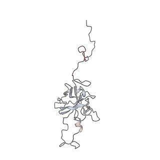 24457_7rh7_D_v2-0
Mycobacterial CIII2CIV2 supercomplex, Telacebec (Q203) bound