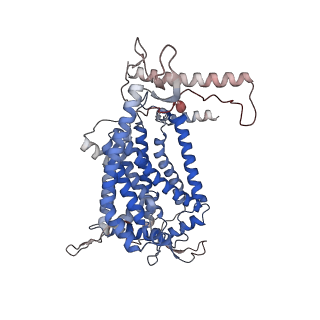 24457_7rh7_E_v1-0
Mycobacterial CIII2CIV2 supercomplex, Telacebec (Q203) bound