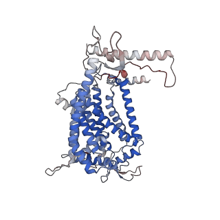 24457_7rh7_E_v2-0
Mycobacterial CIII2CIV2 supercomplex, Telacebec (Q203) bound