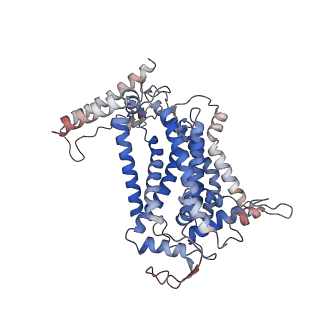 24457_7rh7_F_v1-0
Mycobacterial CIII2CIV2 supercomplex, Telacebec (Q203) bound