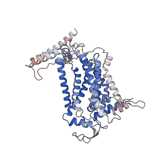 24457_7rh7_F_v2-0
Mycobacterial CIII2CIV2 supercomplex, Telacebec (Q203) bound
