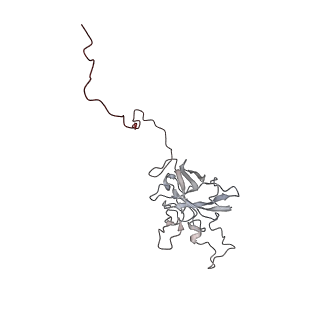24457_7rh7_G_v1-0
Mycobacterial CIII2CIV2 supercomplex, Telacebec (Q203) bound