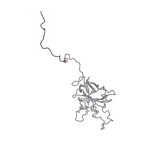 24457_7rh7_G_v2-0
Mycobacterial CIII2CIV2 supercomplex, Telacebec (Q203) bound