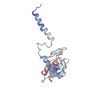 24457_7rh7_I_v2-0
Mycobacterial CIII2CIV2 supercomplex, Telacebec (Q203) bound